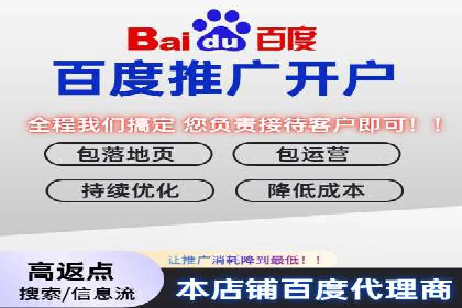 SEM优化技巧：实战案例深度剖析